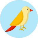 What kind of bird are you? Test Icon