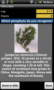 Plants Quiz - for botanists screenshot 0