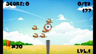 Bird Shoot screenshot 0