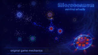 Microcosmum: survival of cells screenshot 6