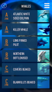 Whales of Iceland Audio Guide! screenshot 2