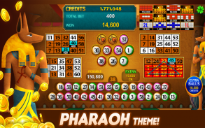 Luck'e Bingo : Video Bingo screenshot 3