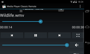 Media Player Classic Remote screenshot 9