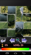 Puzzle Fish for children screenshot 3