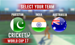 Cricket Cup screenshot 1