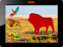 jogos fotos de animais puzzle screenshot 4