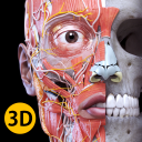 Anatomia - Atlante 3D
