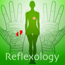 Hand Chart  / for Reflexology Icon