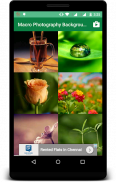 Macro Photography Backgrounds screenshot 2