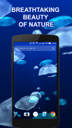 Jellyfishes 3D live wallpaper screenshot 6