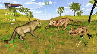 Cougar Lion Simulator 2021 – Predator Lion Games screenshot 7