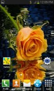 Yellow Rose Reflection LWP screenshot 1