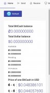 BitCash wallet screenshot 2