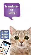 Cat Translate: พูดกับลูกแมว screenshot 0