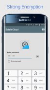 密码管理器 SafeInCloud screenshot 2