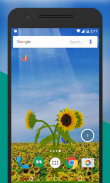 Sunflower 3D LiveWallpaper screenshot 2
