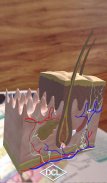 DCL 3D Biologia 1 screenshot 0