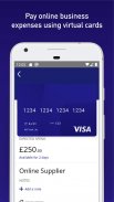 Visa Commercial Pay screenshot 1