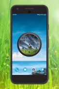 Grass Clock Live Wallpaper screenshot 2