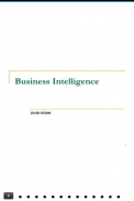 Business Intelligence screenshot 2