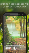 Nature sounds to relax and sleep screenshot 1