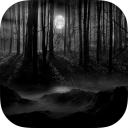 Dark Forest  Live Wallpaper