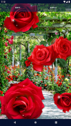 3D Red Rose Live Wallpaper screenshot 4