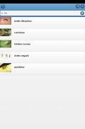 Insect pests screenshot 11