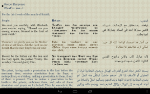 Coptic Reader screenshot 0