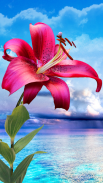 Flowers. Magic Touch Wallpaper screenshot 0