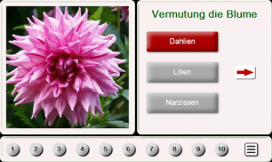 Erraten Sie den Blume: Fliesen Puzzle screenshot 7