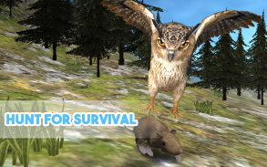 Wild Owl Simulator 3D screenshot 3