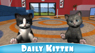 Daily Kitten : gato virtual screenshot 0