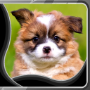 Puppies Live Wallpapers