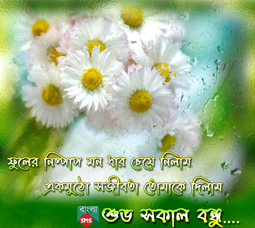 Best Bangla Good Morning Sms Naturesimagesart