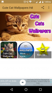 Cute Cat Wallpapers Hd screenshot 0