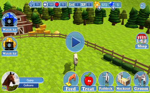 Real Horse Racing World Rider screenshot 15