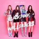 Black Pink Wallpapers HD Icon