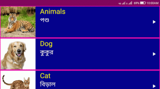 Learn English From Bangla screenshot 10
