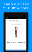 Daily Anatomy: Flashcard Quizzes to Learn Anatomy screenshot 9