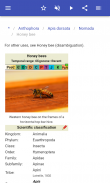 Bees screenshot 7