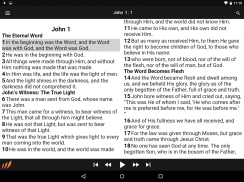 Bible - Word of Promise® screenshot 8