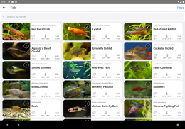 Aquareka - Le guide d'aquarium screenshot 2