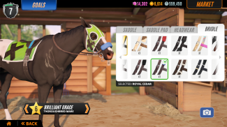家族传奇： 马匹养成竞技 screenshot 10