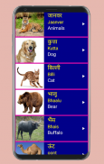Learn Hindi From English screenshot 6
