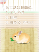 癒しのウサギ育成ゲーム screenshot 7