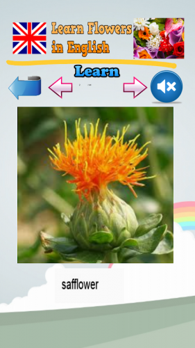 Learn Flower Names In English 2 4 Download Android Apk Aptoide