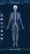 Nervous System Anatomy Pro. screenshot 8