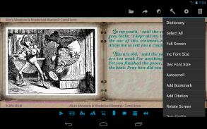 AlReader -any text book reader screenshot 8