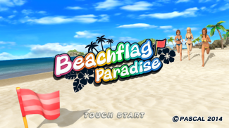 Beach Flag Paradise screenshot 0